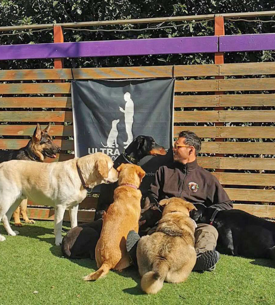Συνέντευξη με τον εκπαιδευτή σκύλων Φίλιππο Δημητρουλάκο- Ultra dogs Park blessed.gr